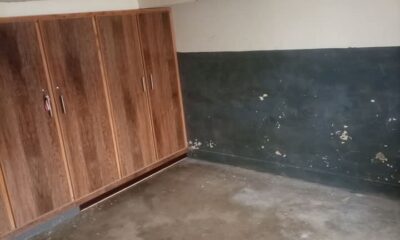 FB_IMG_1740455678890