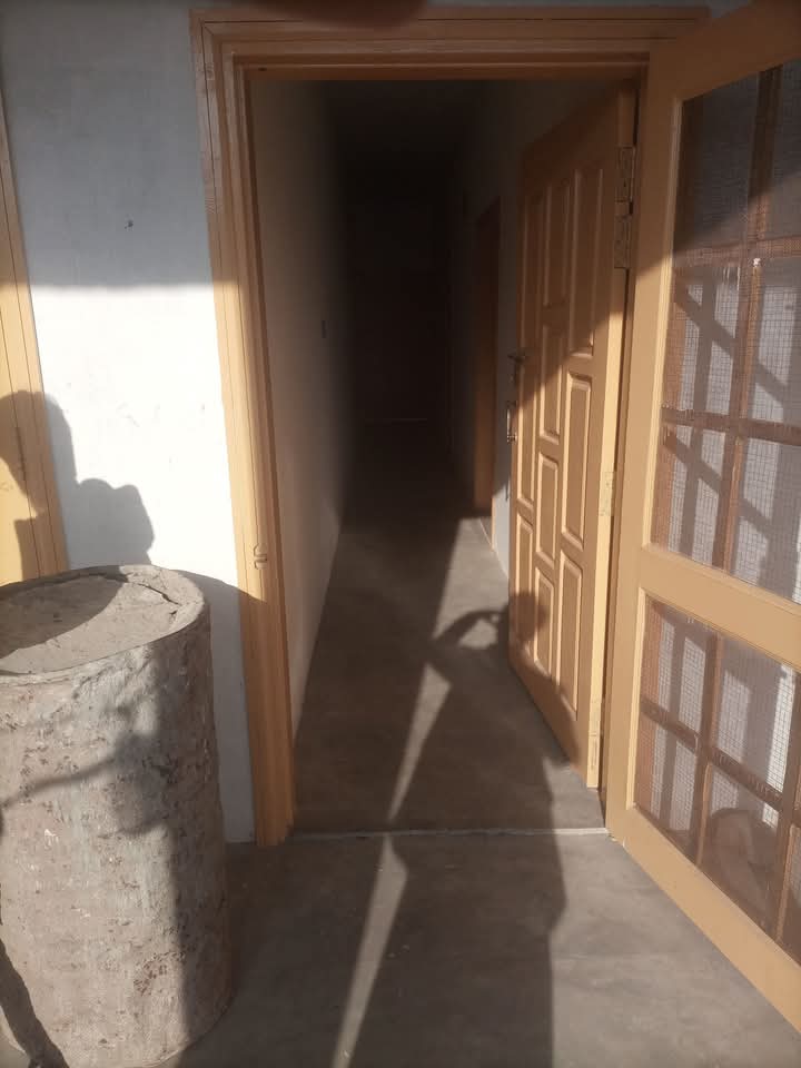 FB_IMG_1740456760848