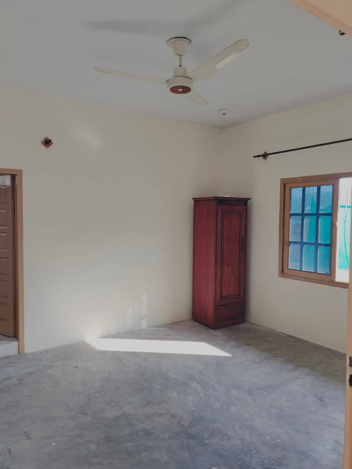 FB_IMG_1740457988988