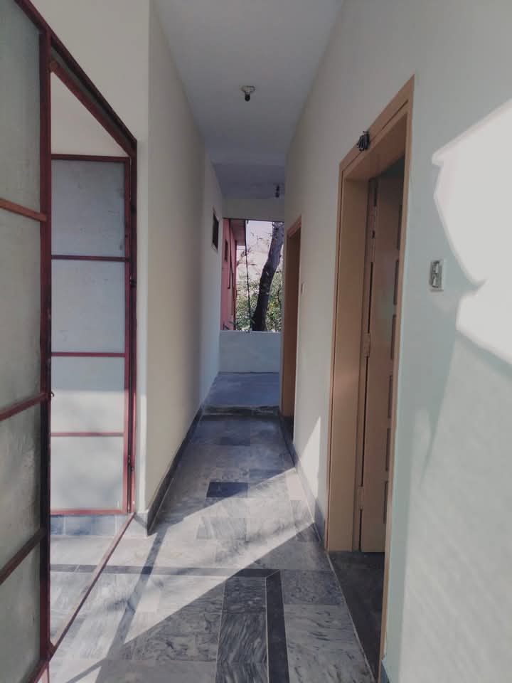 FB_IMG_1740457994018