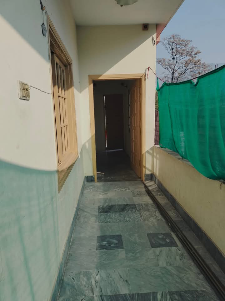 FB_IMG_1740457996240