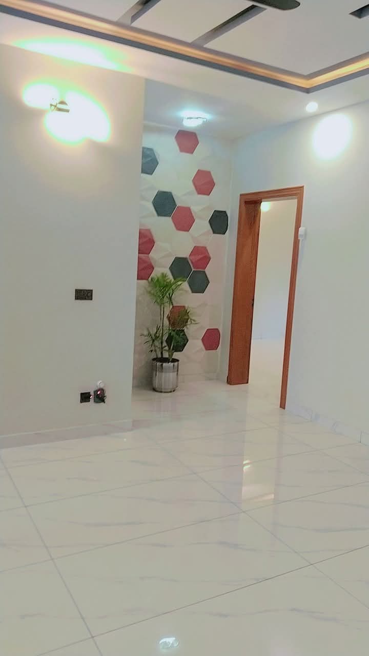 FB_IMG_1740468859087