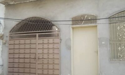 20250328_053431