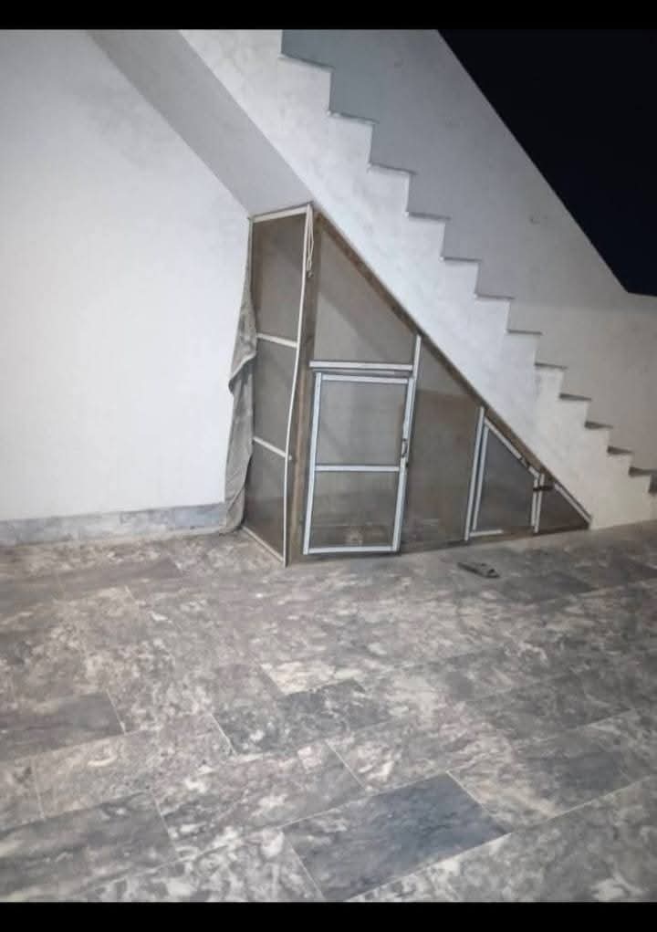 FB_IMG_1740967791267