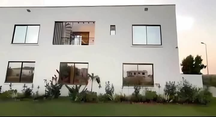 FB_IMG_1741198240006