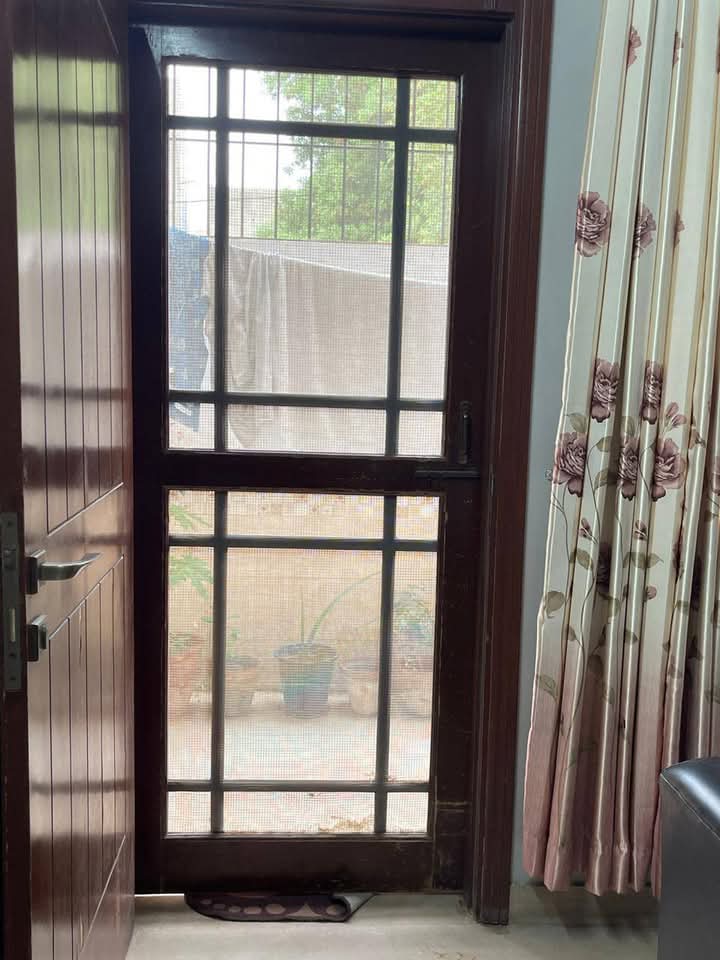 FB_IMG_1741203318762