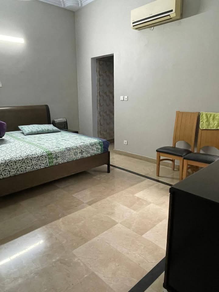 FB_IMG_1741203329792