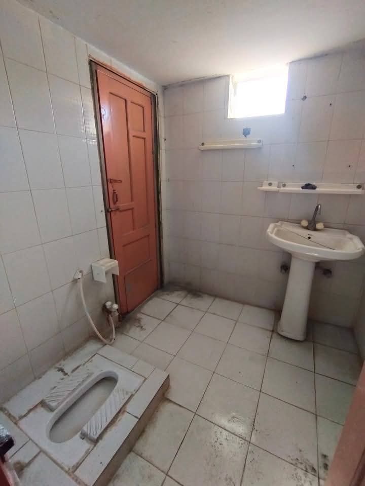 FB_IMG_1741224016265