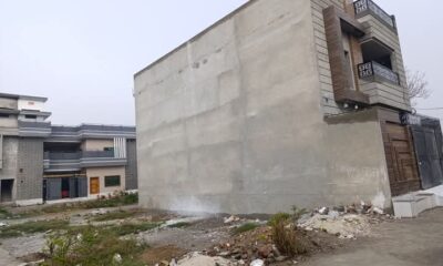 FB_IMG_1741303852265