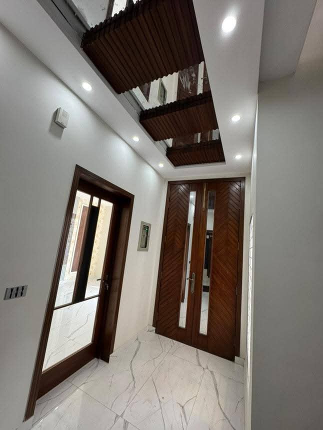 FB_IMG_1741417494658