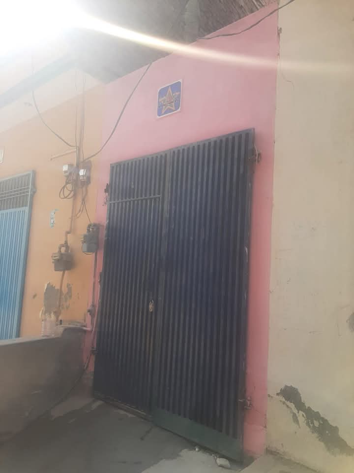 FB_IMG_1741430683406