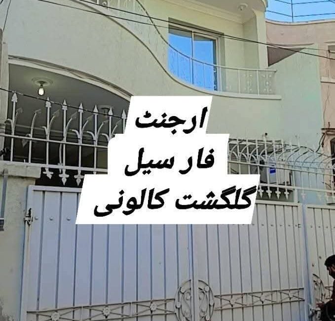 FB_IMG_1741564845696