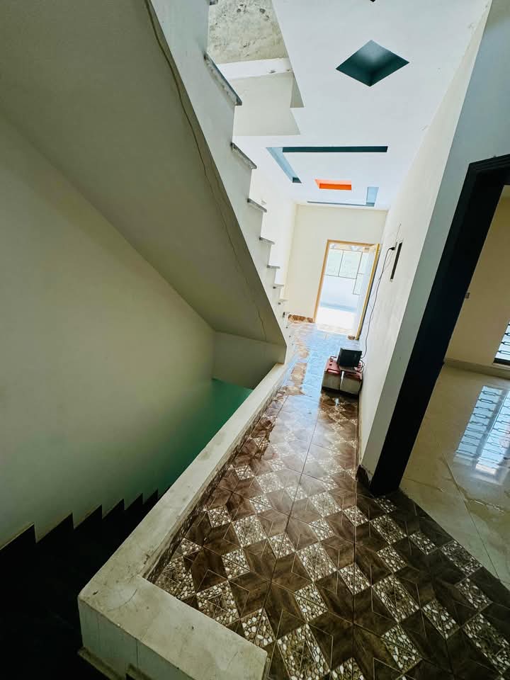 FB_IMG_1741604782583