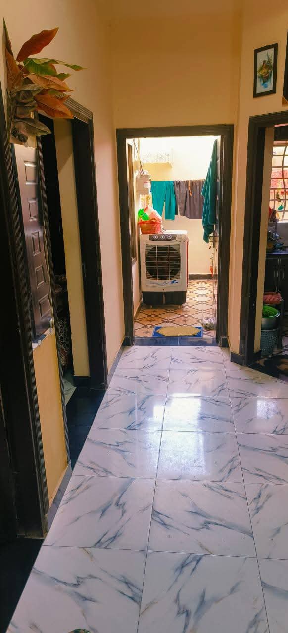 FB_IMG_1741649578341