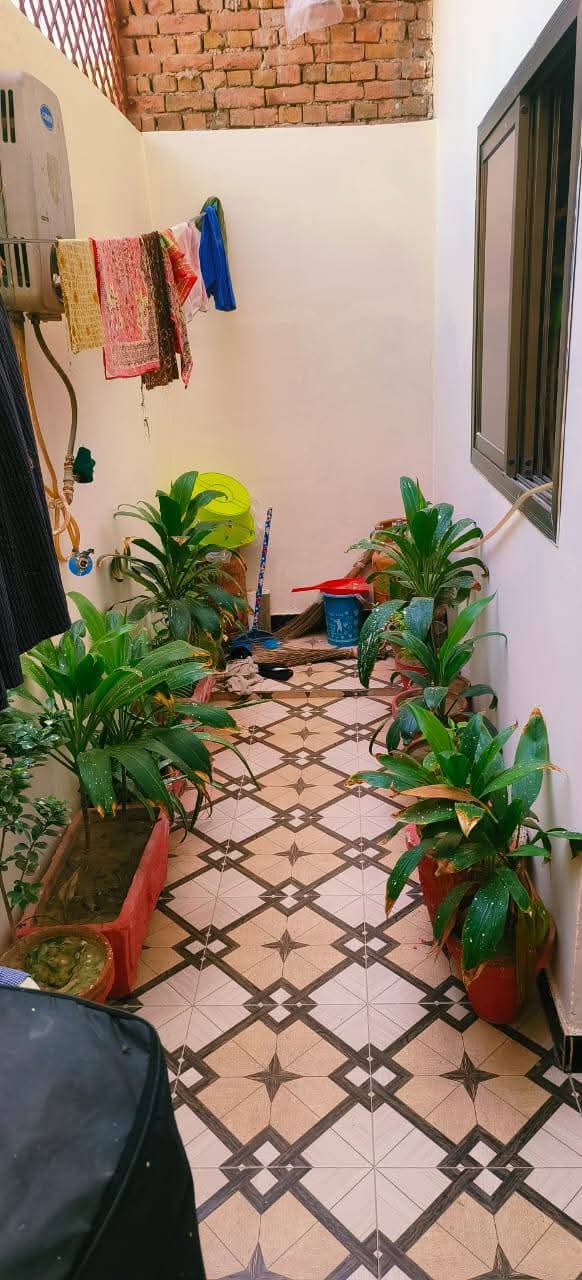 FB_IMG_1741649580649