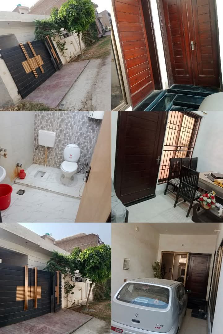 FB_IMG_1741650208654