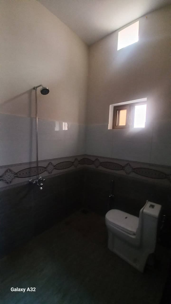 FB_IMG_1741672617331