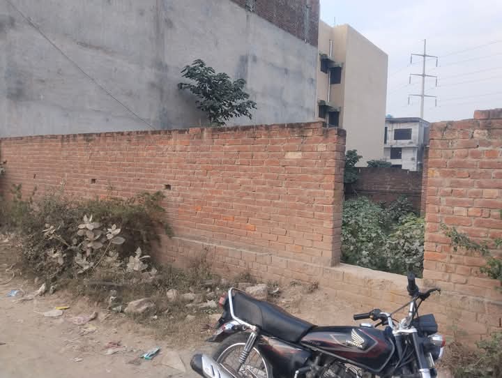 FB_IMG_1741687475026