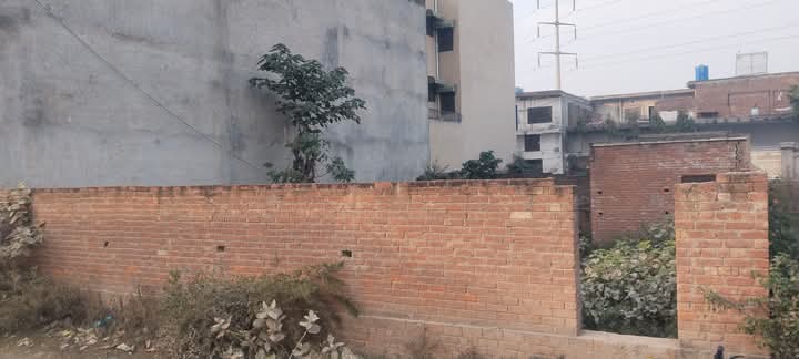 FB_IMG_1741687480156