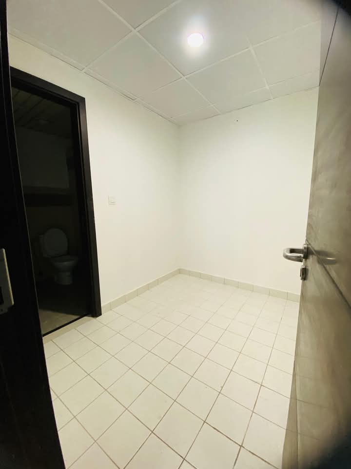 FB_IMG_1741780359254