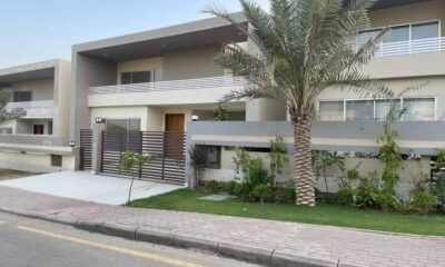 FB_IMG_1741849958935