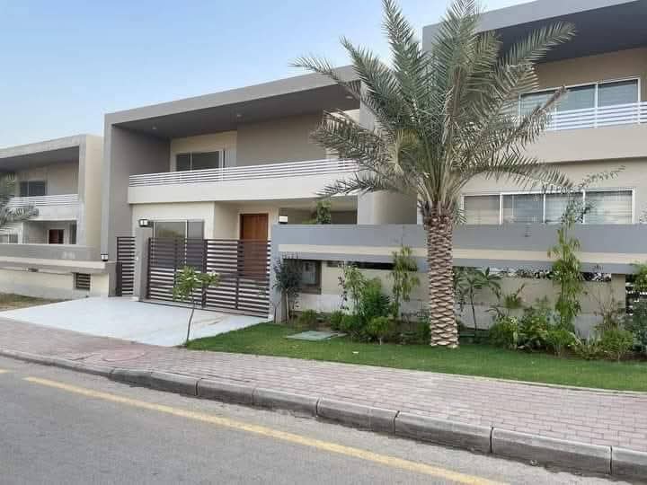 FB_IMG_1741849958935