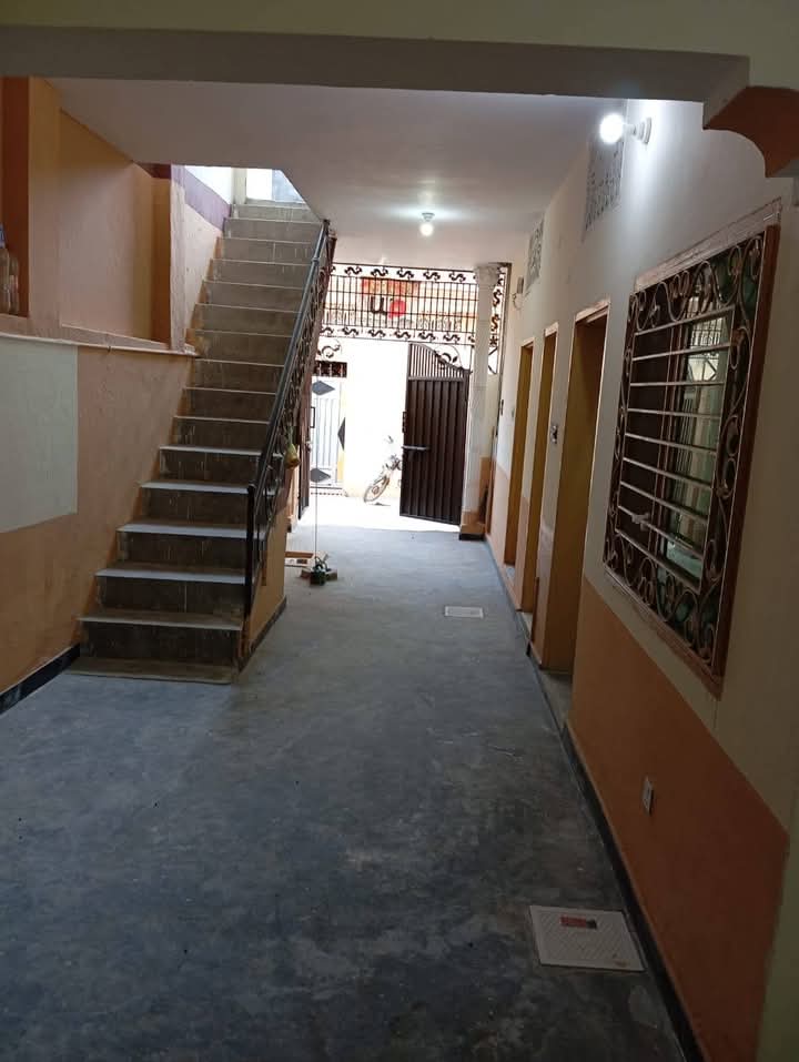 FB_IMG_1741879177374