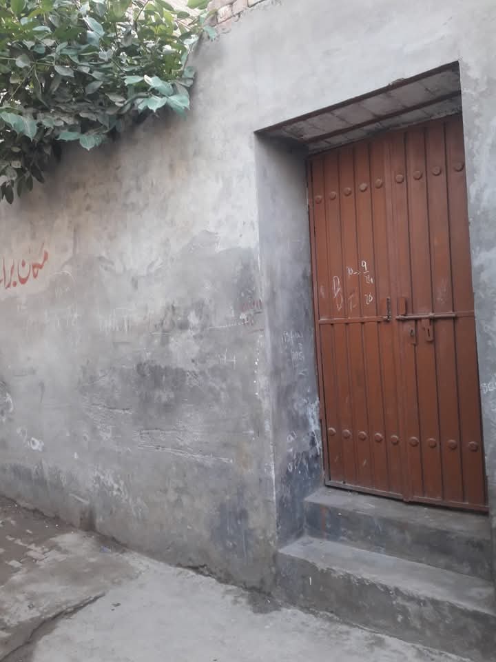 FB_IMG_1741997748470