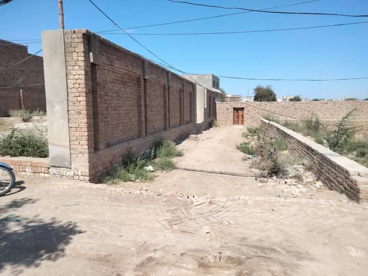 FB_IMG_1742281017513