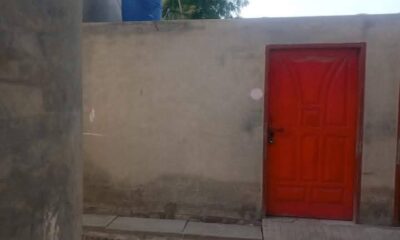 FB_IMG_1742282643867