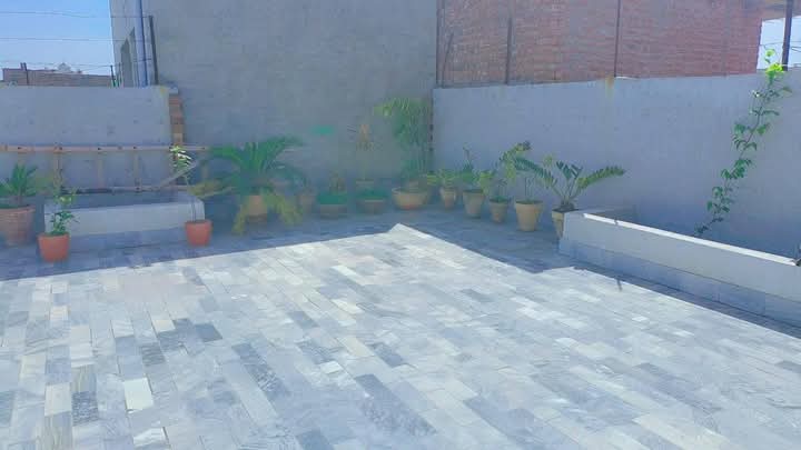 FB_IMG_1742525582136