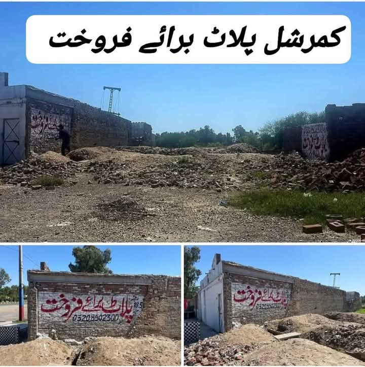 FB_IMG_1742891162580