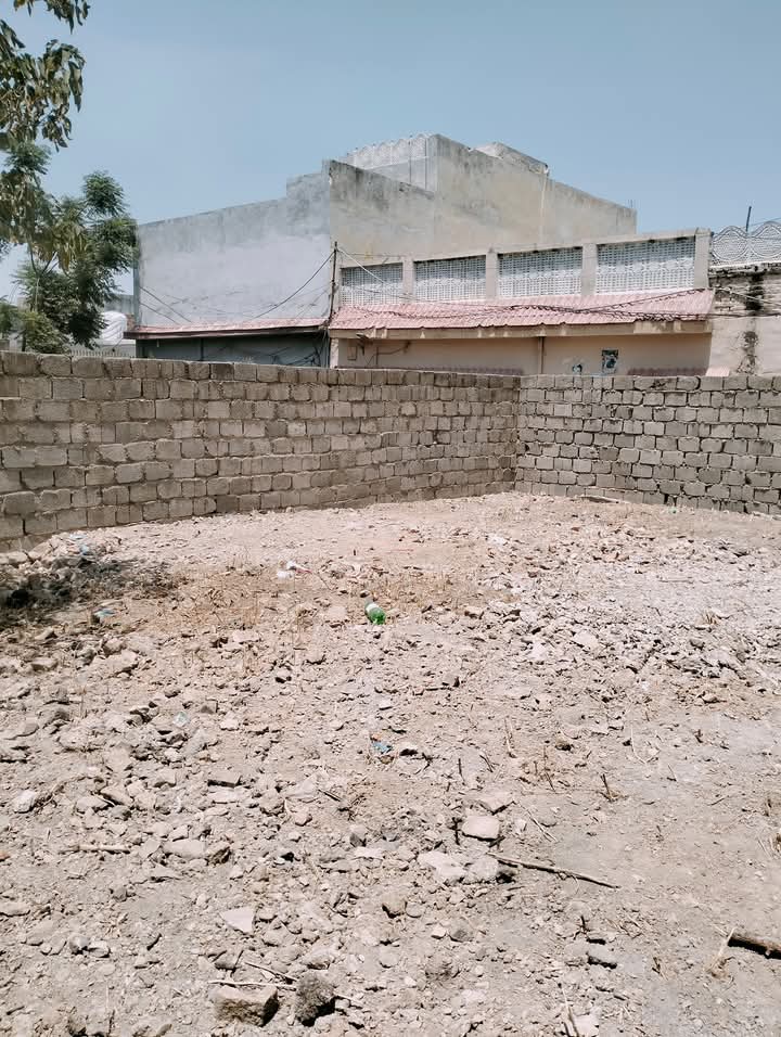 FB_IMG_1742966406554