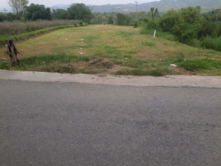 FB_IMG_1742967558526