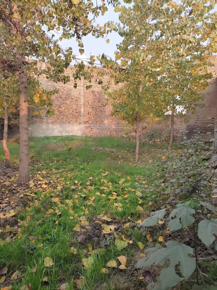 FB_IMG_1742969082138