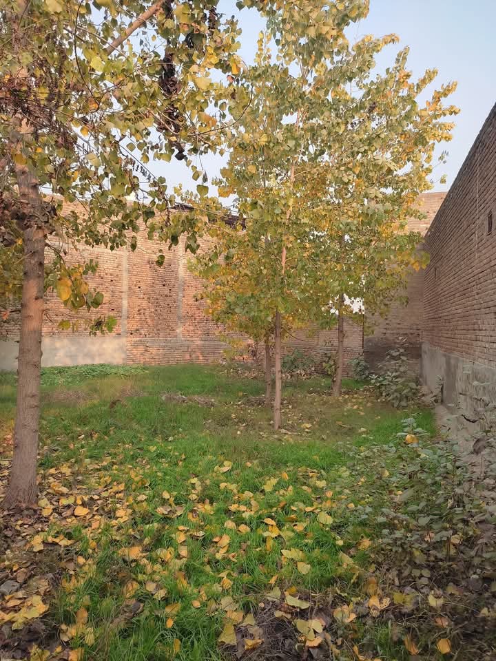 FB_IMG_1742969084040