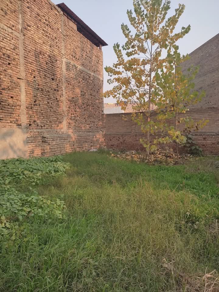 FB_IMG_1742969086240