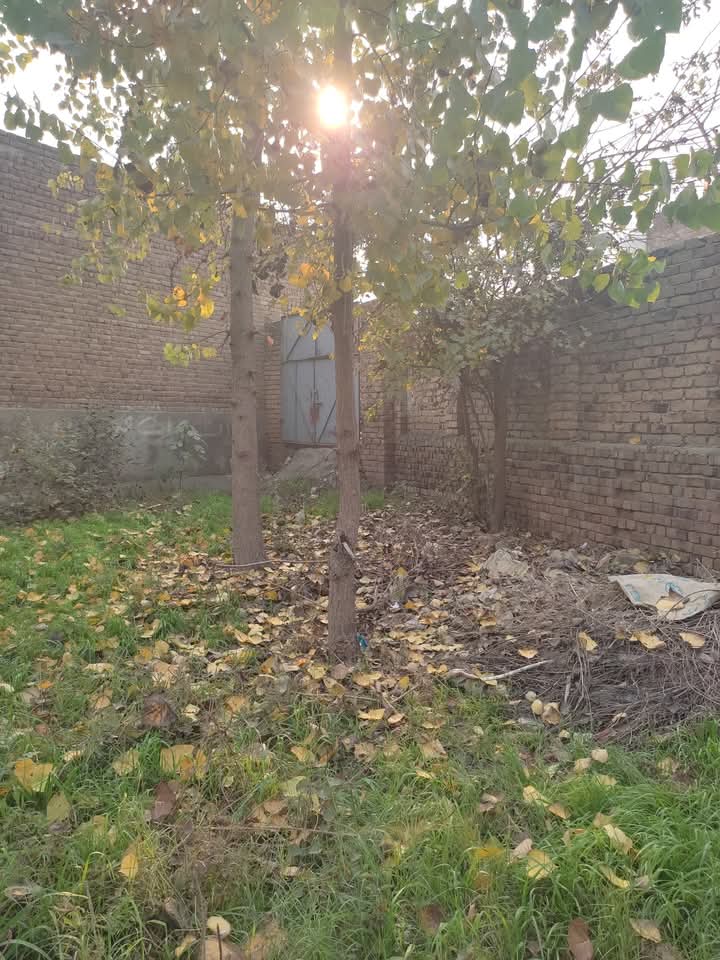 FB_IMG_1742969093859