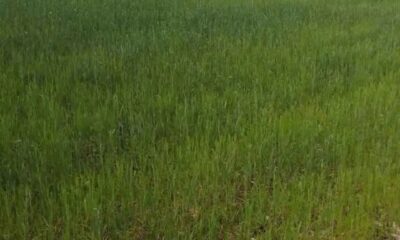 Screenshot_20250314-173437_Facebook