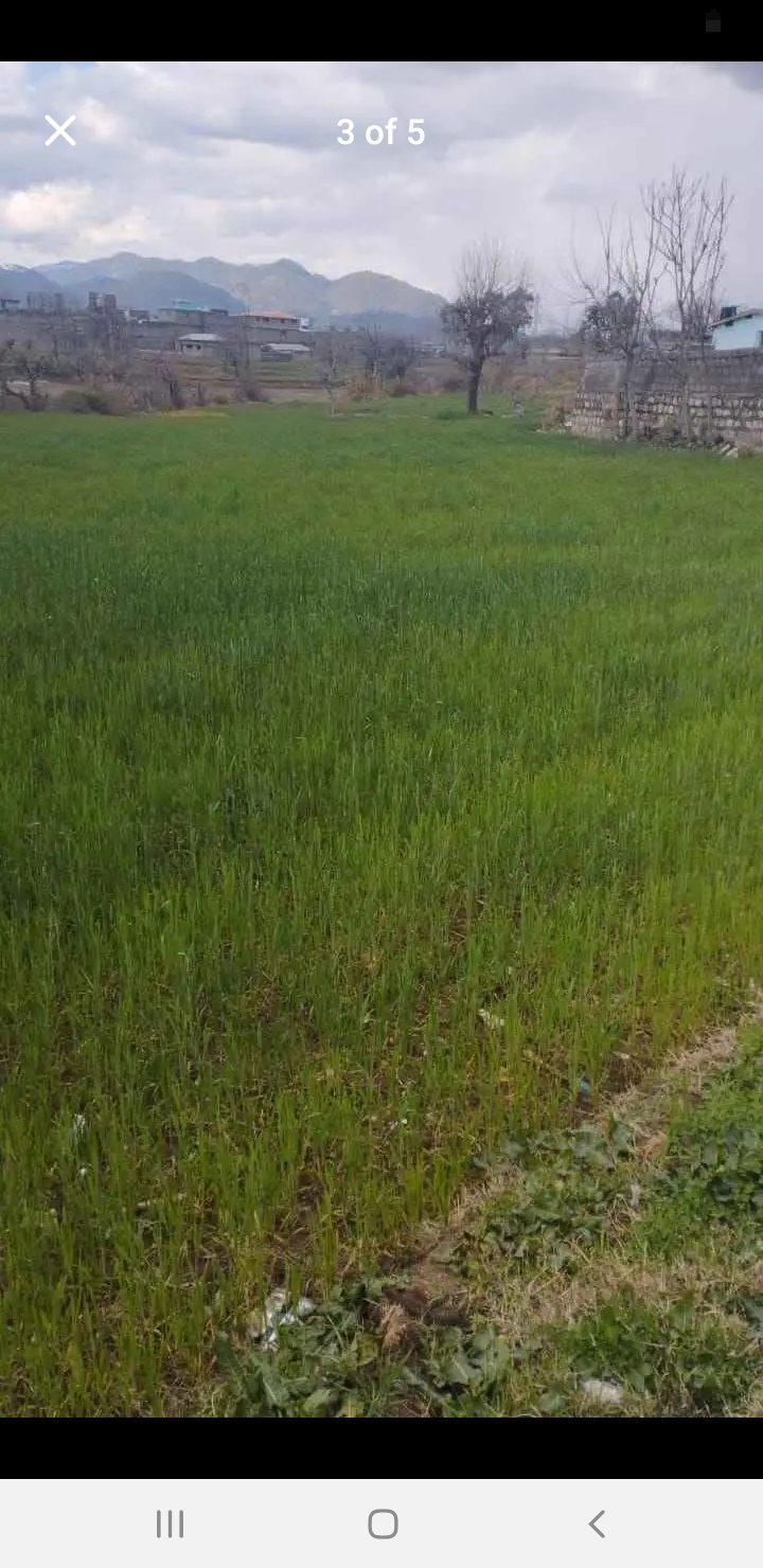 Screenshot_20250314-173437_Facebook