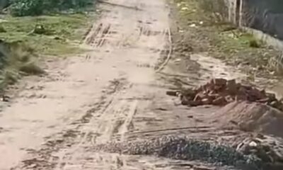 Screenshot_20250322-115641_Facebook