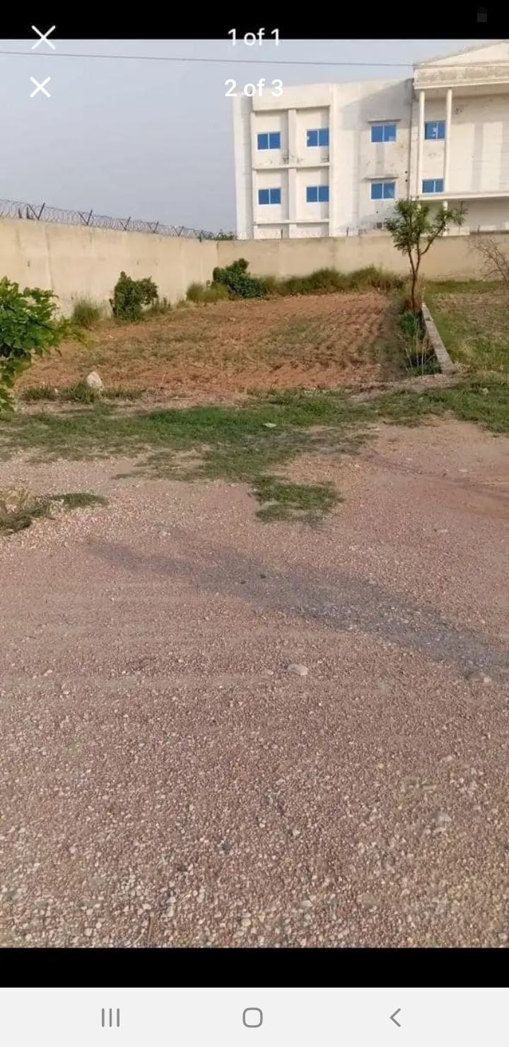 Screenshot_20250324-161731_Facebook