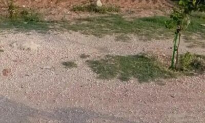 Screenshot_20250324-161732_Facebook