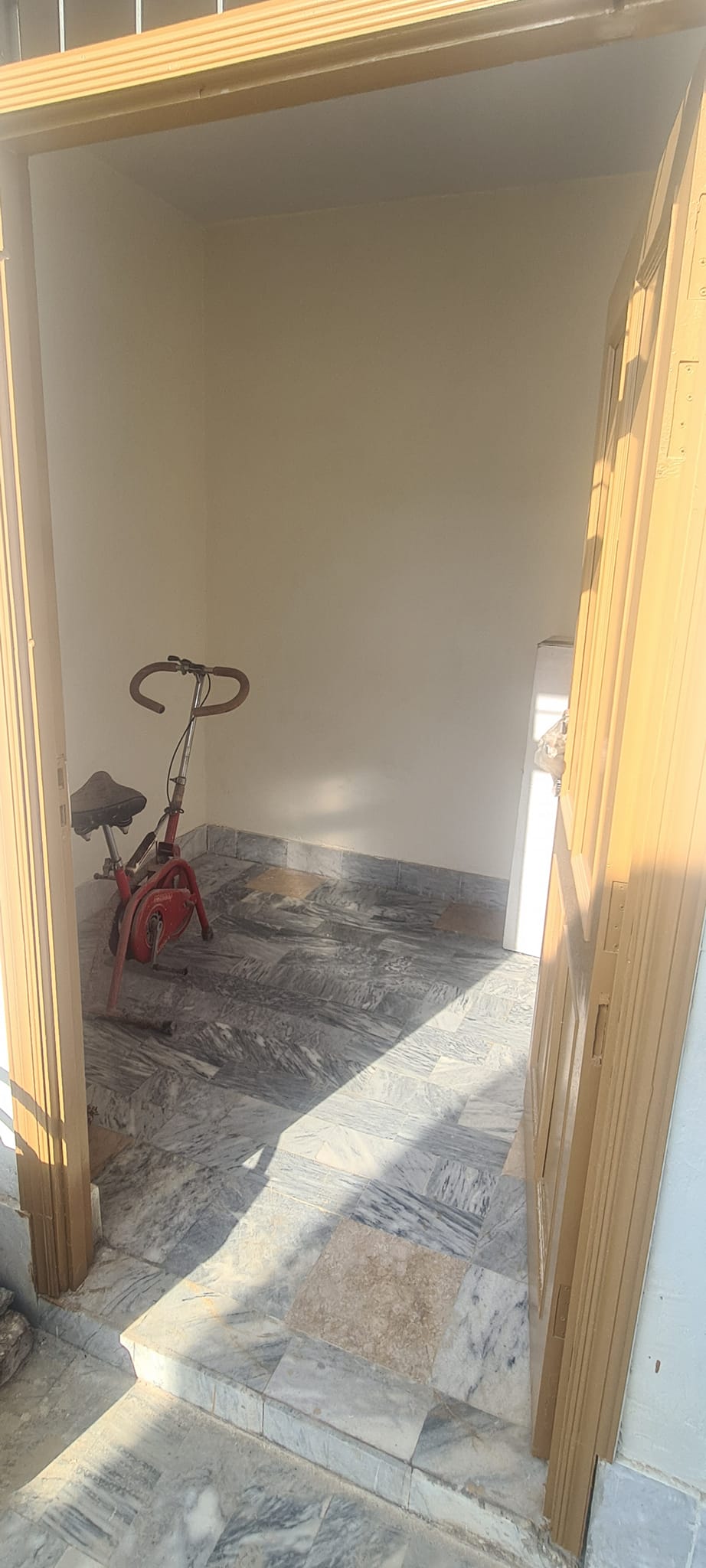 481243960_1649037795704397_3860572901485604904_n