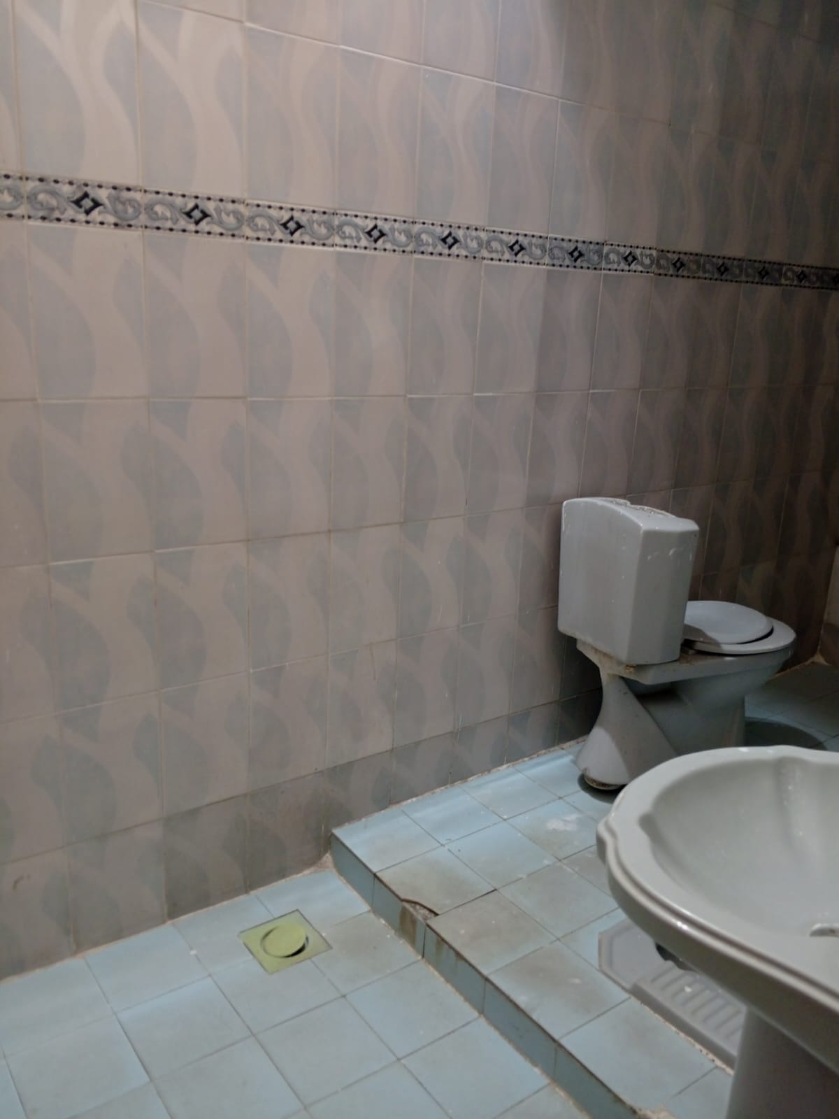 497874816_122248768502028203_6024089339440960814_n-1