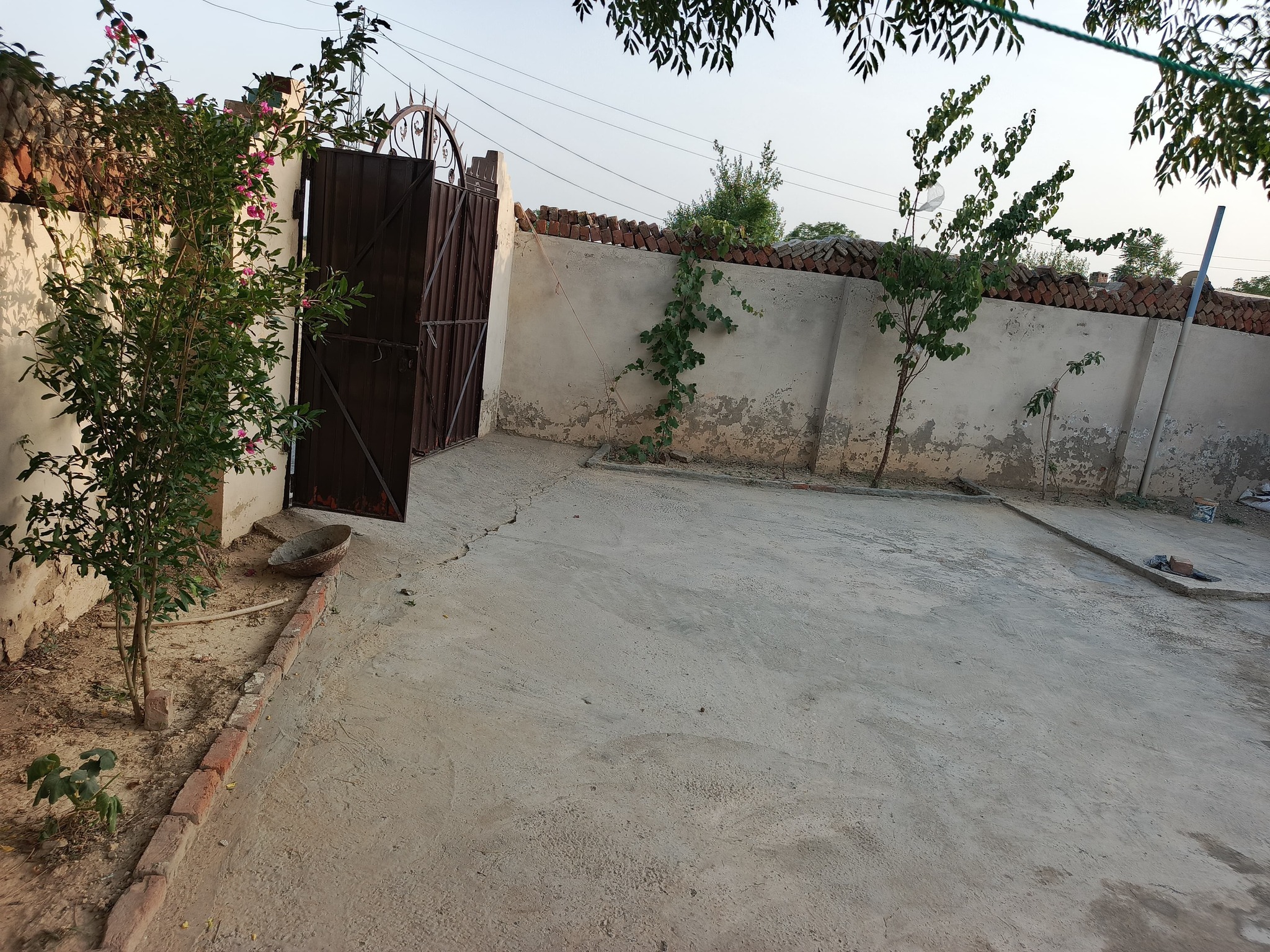 503705127_730851412782398_7565450056573201797_n