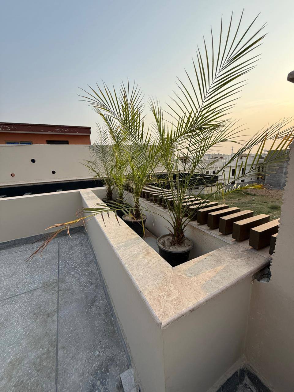 511317287_744220931662682_3023932435701124948_n