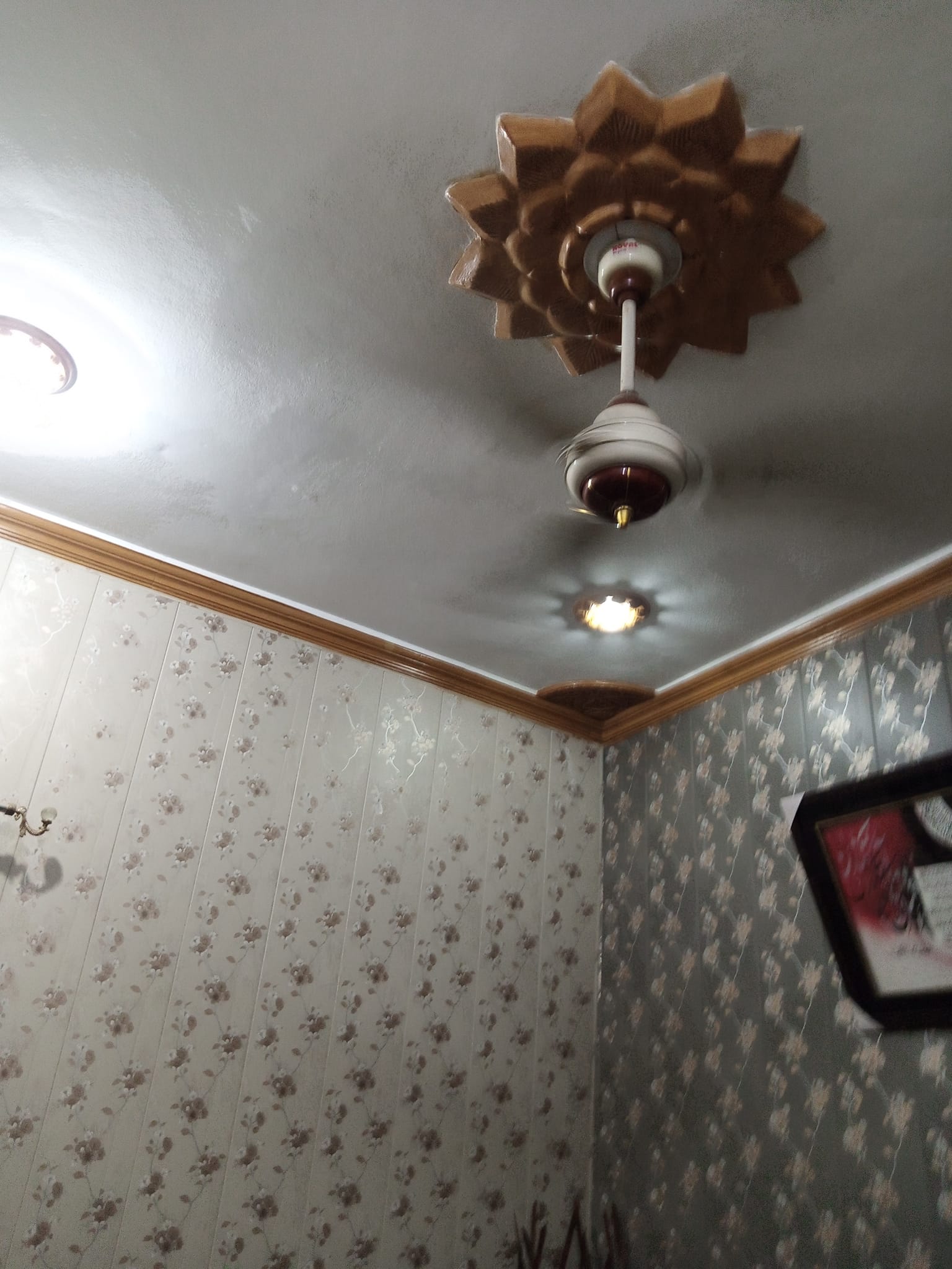 475881729_593303360271380_6198272743055245404_n