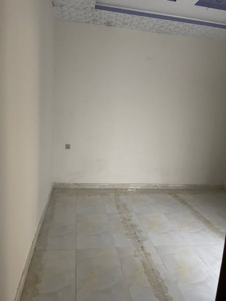 480394453_529060076872804_8674912822966261261_n