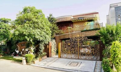 495461777_2209776822793991_2643675507317800224_n